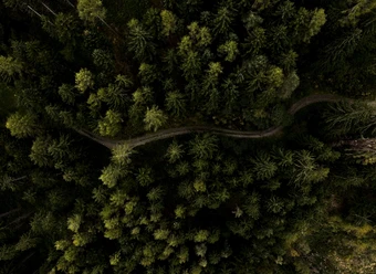 At home in nature