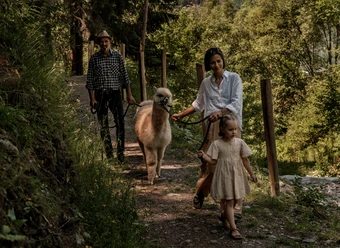 Guided Alpaca Tour