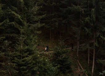 The healing power of nature