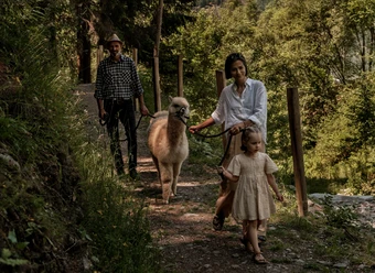 Guided Alpaca Tour