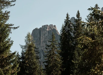 What nature and culture have to tell