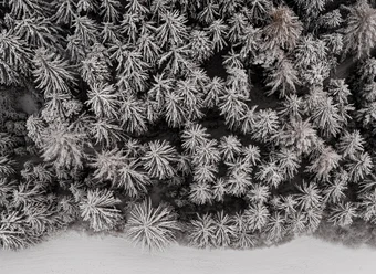 Winter in the Dolomites