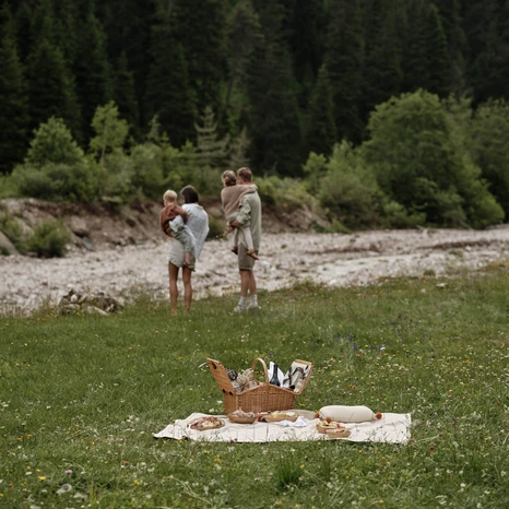 Family Picnic