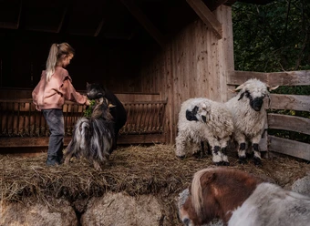 A Close Connection with Animals
