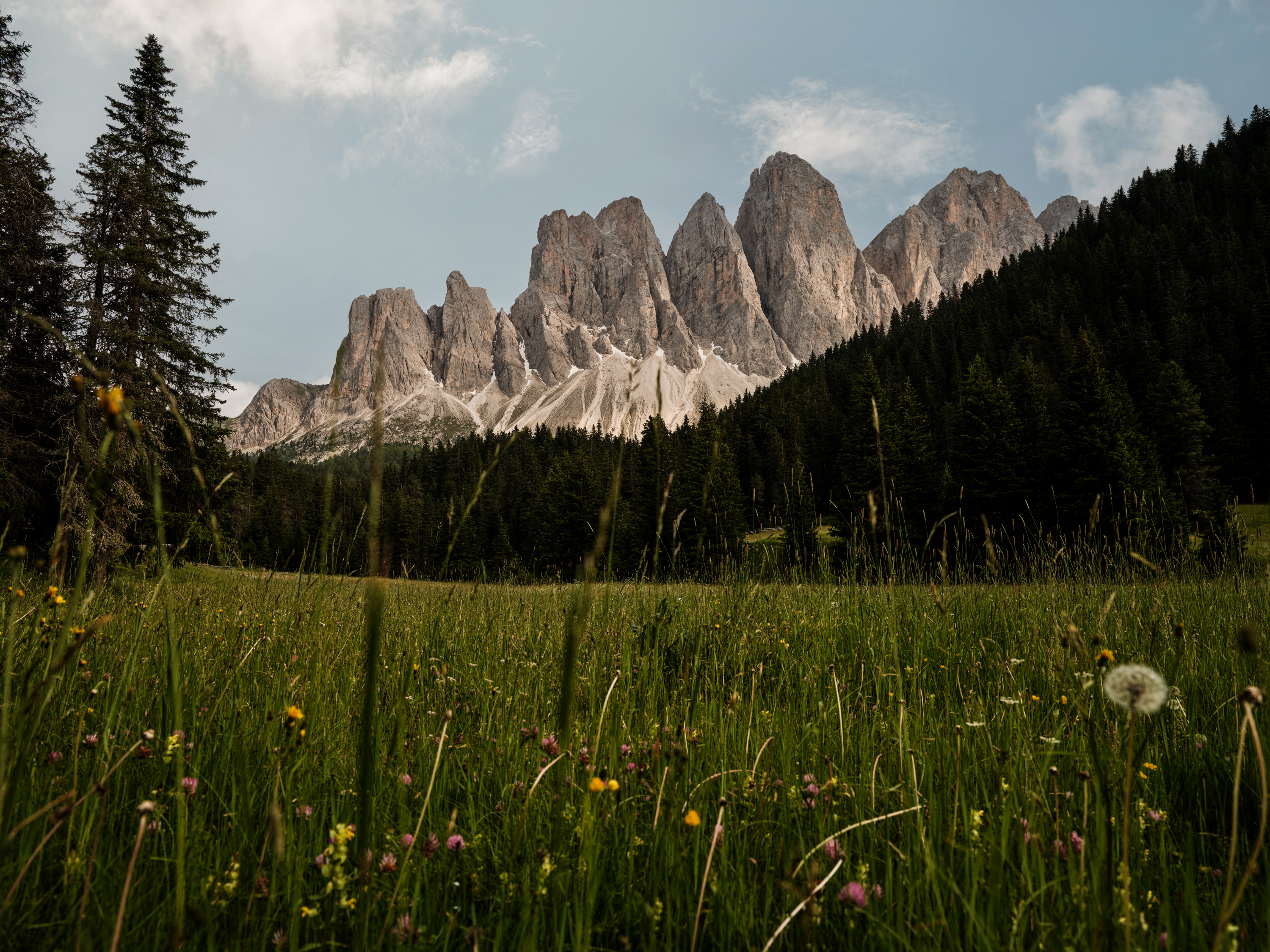 SAN SONNEA Lodge Dolomites